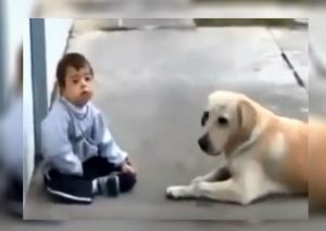 Youtube: La hermosa amistad entre un niño con Síndrome de Down y un labrador (VIDEO)