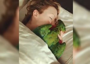 Instagram Viral: Loro quiere dormir con su dueña y sucede esto (VIDEO)