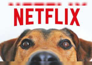 ‘Dogs’: La serie de Netflix que emocionará a muchos