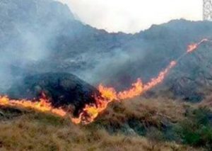 Agentes forestales controlan incendio en Machu Picchu