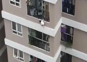 Repartidor salva la vida a una niña que cayó del piso 12 de un edificio en Vietnam | VIDEO