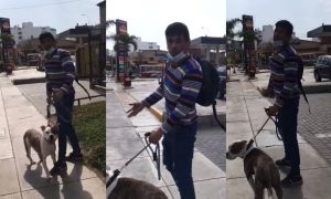 Periodista Jaime Chincha fue atacado por un pitbull en plena vía pública | VIDEOS