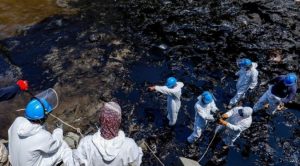 Derrame de petróleo: Conoce cuándo se terminará de limpiar las playas afectadas